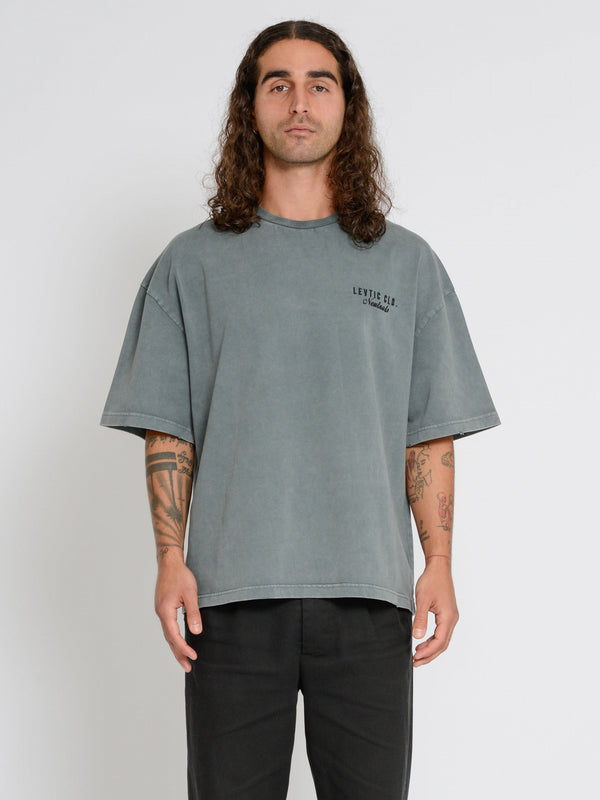 Levtic Washed Grey Neutrals T-Shirt